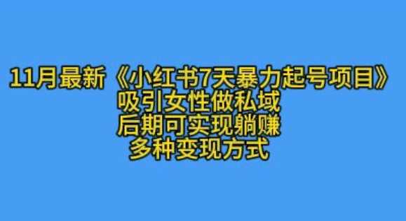 K总部落11月最新小红书7天暴力起号项目，吸引女性做私域【揭秘】-他山创业网