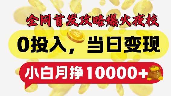 全网首发爆火夜校，0投入，当日变现，小白轻松月入1w+【揭秘】-他山创业网