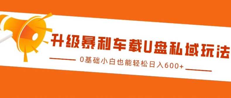 升级暴利车载U盘私域玩法，0基础小白也能轻松日入多张【揭秘】-他山创业网