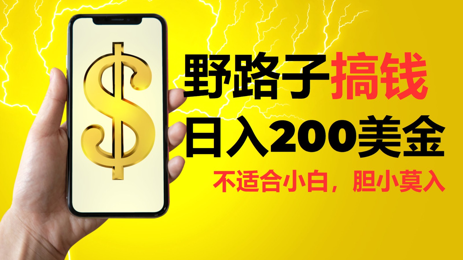 挂机野路子搞钱，日入200美金，路子很野，小白莫入-他山创业网