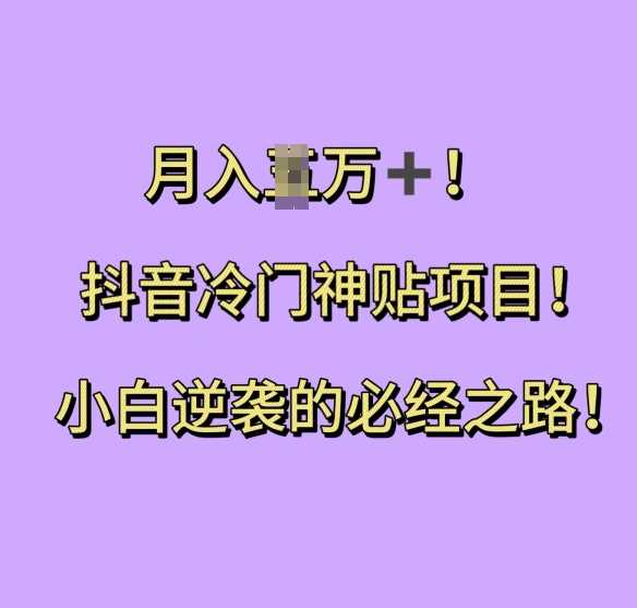 抖音冷门神贴项目，小白逆袭的必经之路，月入过W【揭秘】-他山创业网