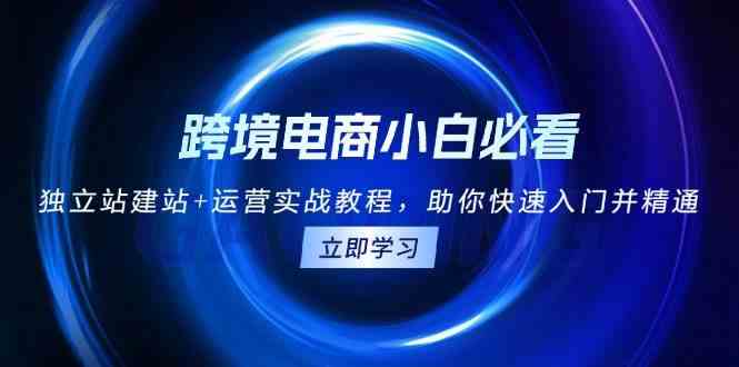 跨境电商小白必看！独立站建站+运营实战教程，助你快速入门并精通-他山创业网