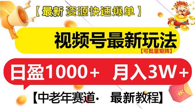 （13530期）视频号最新玩法 中老年赛道 月入3W+-他山创业网