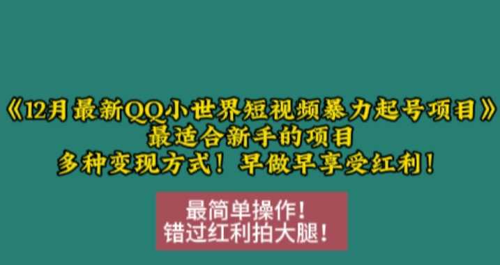 12月最新QQ小世界短视频暴力起号项目，最适合新手的项目，多种变现方式-他山创业网