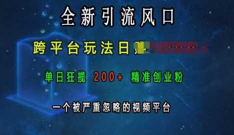 全新引流风口，跨平台玩法日入上k，单日狂揽200+精准创业粉，一个被严重忽略的视频平台-他山创业网