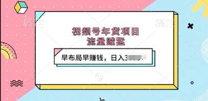 视频号年货项目，流量贼猛，早布局早挣钱，日入上k【揭秘】-他山创业网