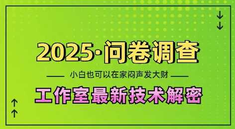 2025问卷调查最新工作室技术解密：一个人在家也可以闷声发大财，小白一天2张，可矩阵放大【揭秘】-他山创业网