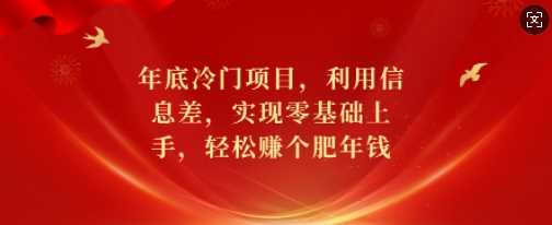 年底冷门项目，利用信息差，实现零基础上手，轻松赚个肥年钱【揭秘】-他山创业网
