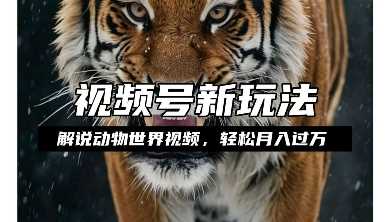 利用动物世界解说视频，赚分成计划收益，轻松月入过W，操作简单【揭秘】-他山创业网