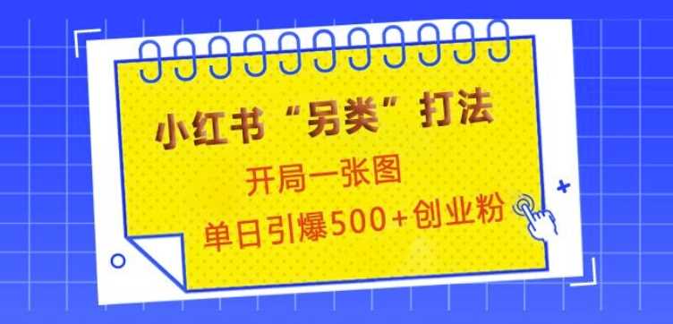小红书“另类”打法，开局一张图，单日引爆500+精准创业粉【揭秘】-他山创业网