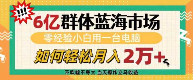 6亿群体蓝海市场，零经验小白用一台电脑，如何轻松月入过w【揭秘】-他山创业网