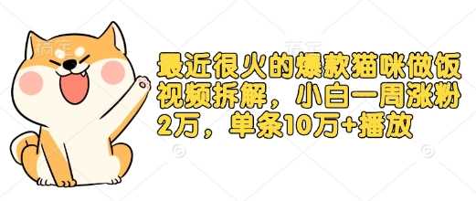 最近很火的爆款猫咪做饭视频拆解，小白一周涨粉2万，单条10万+播放(附保姆级教程)-他山创业网