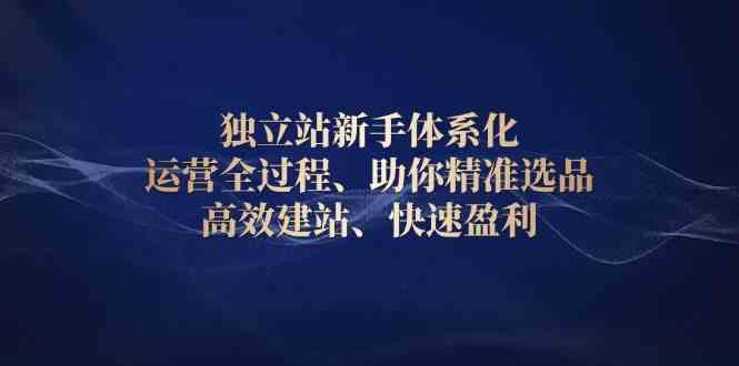 独立站新手体系化 运营全过程，助你精准选品、高效建站、快速盈利-他山创业网
