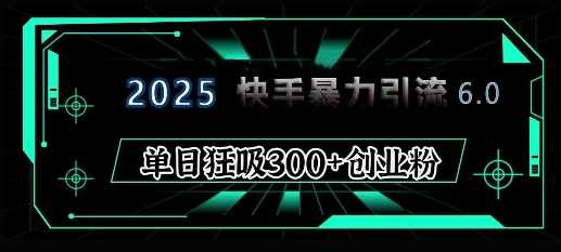 2025年快手6.0保姆级教程震撼来袭，单日狂吸300+精准创业粉-他山创业网