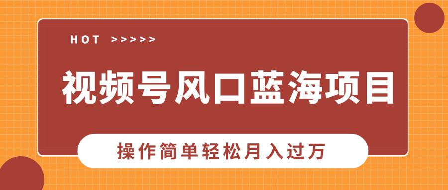 （13945期）视频号风口蓝海项目，中老年人的流量密码，操作简单轻松月入过万-他山创业网